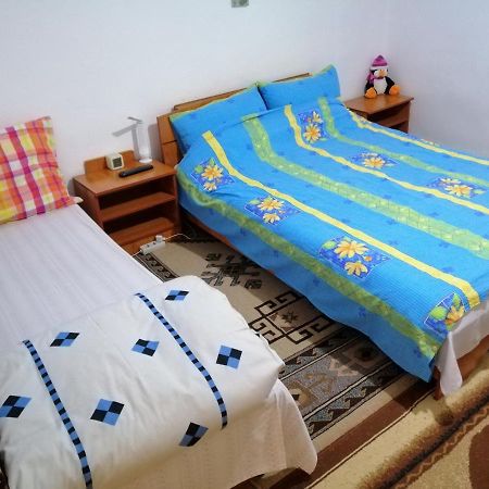 Rustic House Apartment Turnu Măgurele Екстериор снимка