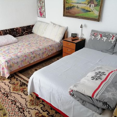 Rustic House Apartment Turnu Măgurele Екстериор снимка