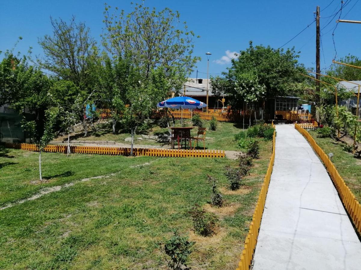 Rustic House Apartment Turnu Măgurele Екстериор снимка