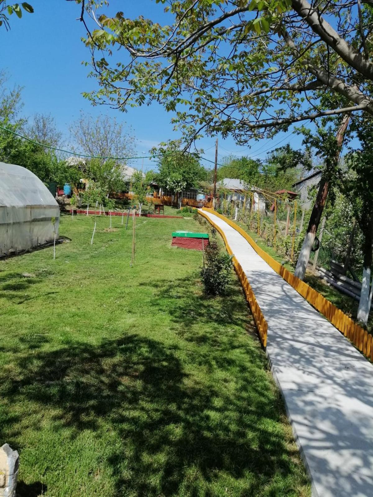 Rustic House Apartment Turnu Măgurele Екстериор снимка
