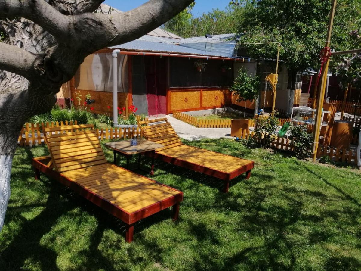 Rustic House Apartment Turnu Măgurele Екстериор снимка