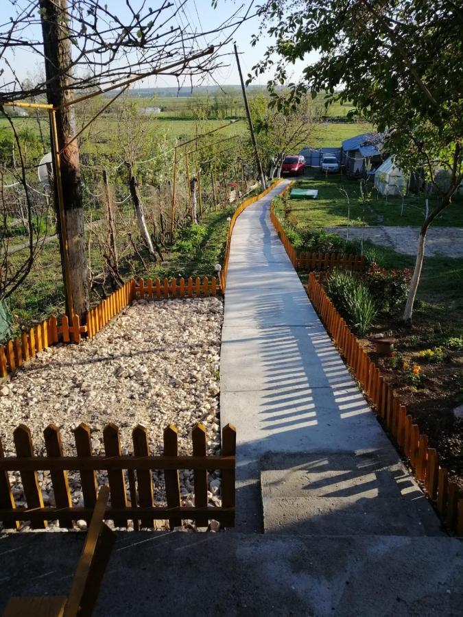 Rustic House Apartment Turnu Măgurele Екстериор снимка