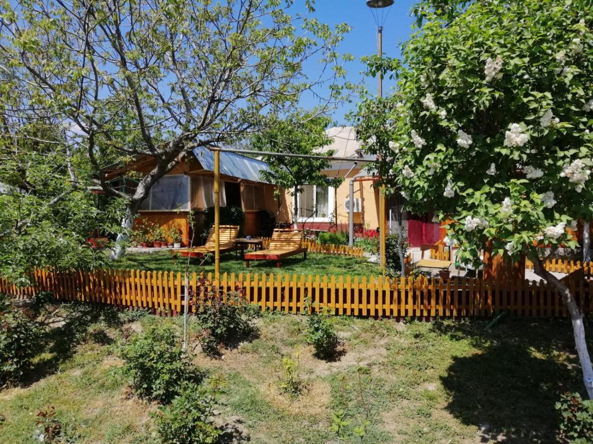 Rustic House Apartment Turnu Măgurele Екстериор снимка