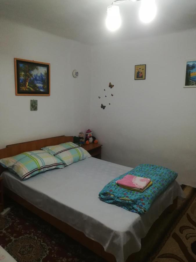 Rustic House Apartment Turnu Măgurele Екстериор снимка