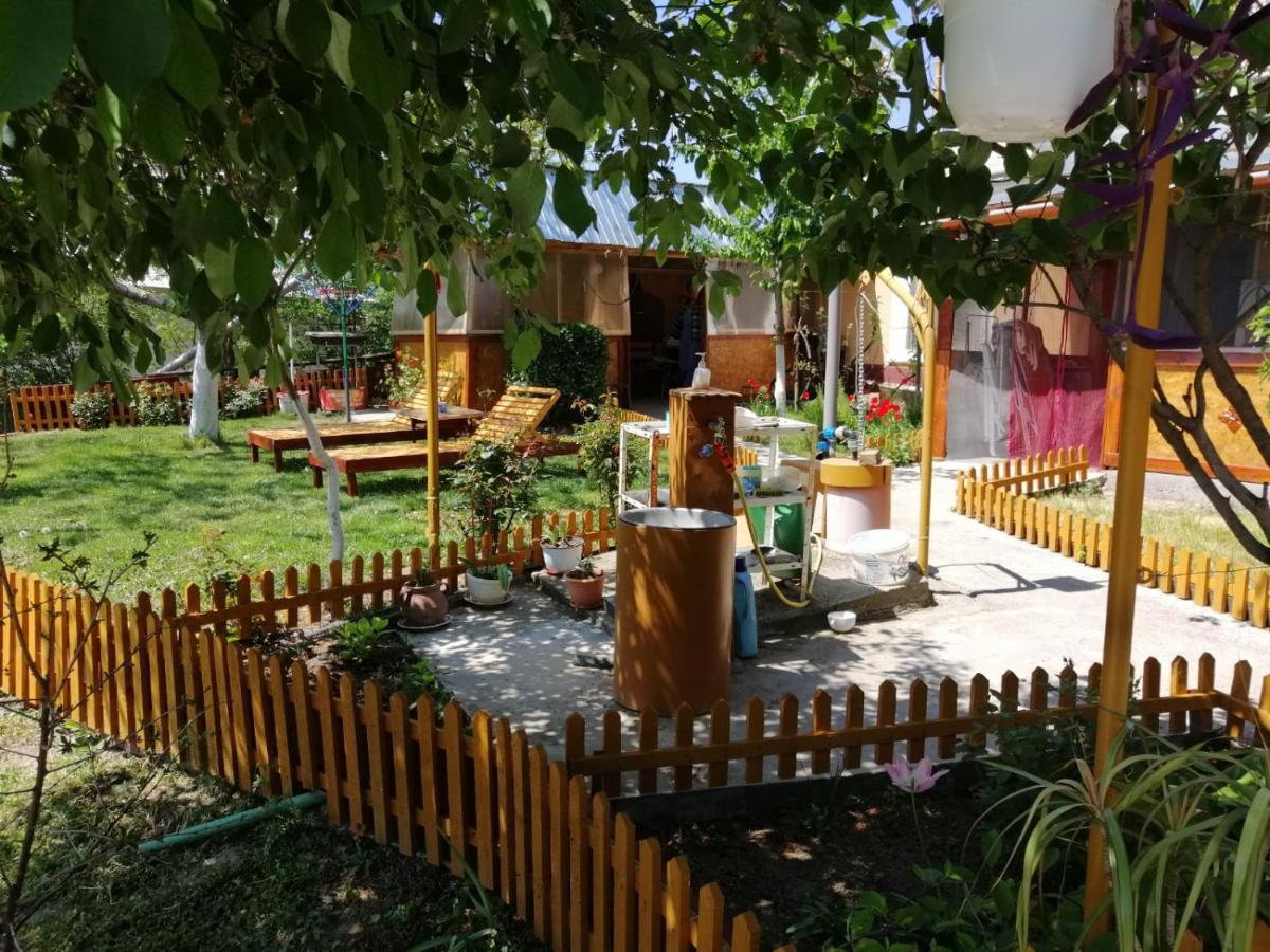 Rustic House Apartment Turnu Măgurele Екстериор снимка