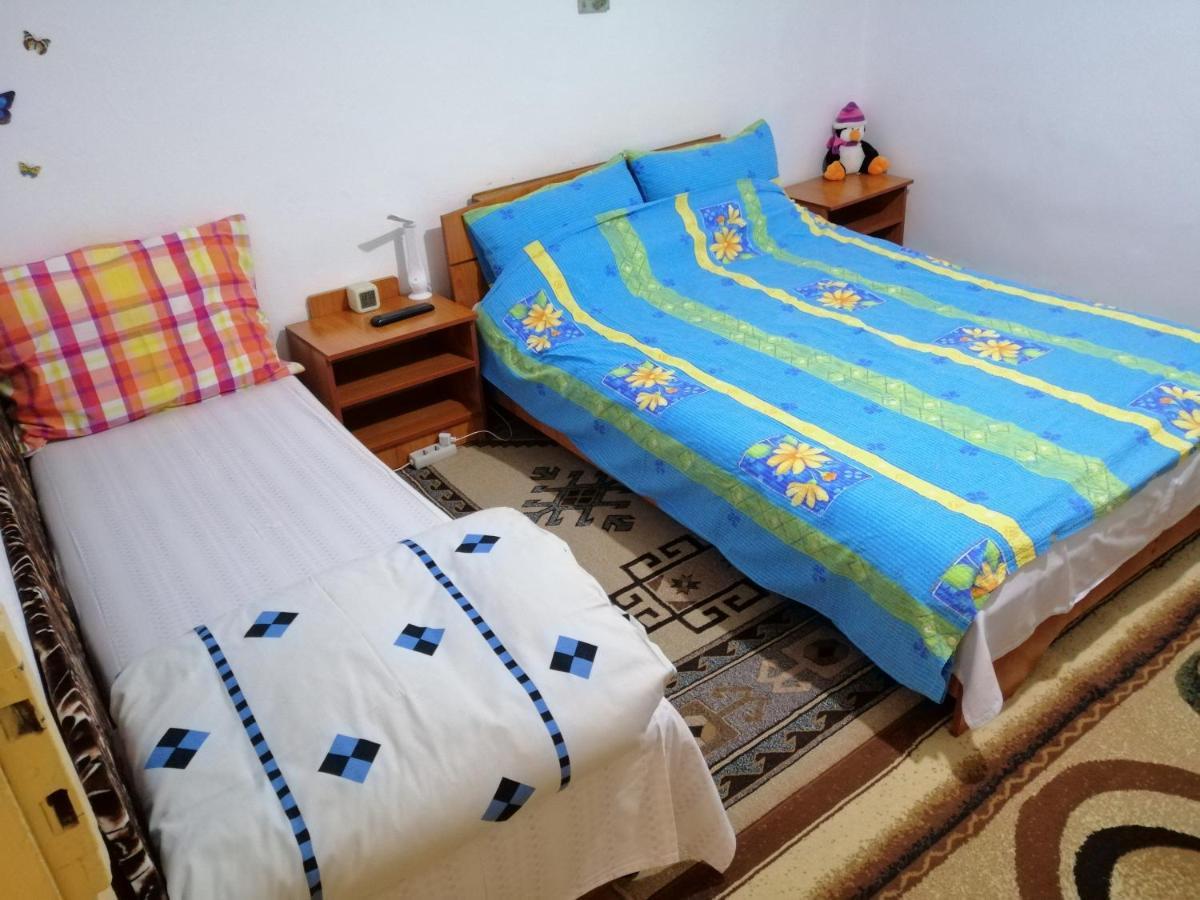 Rustic House Apartment Turnu Măgurele Екстериор снимка