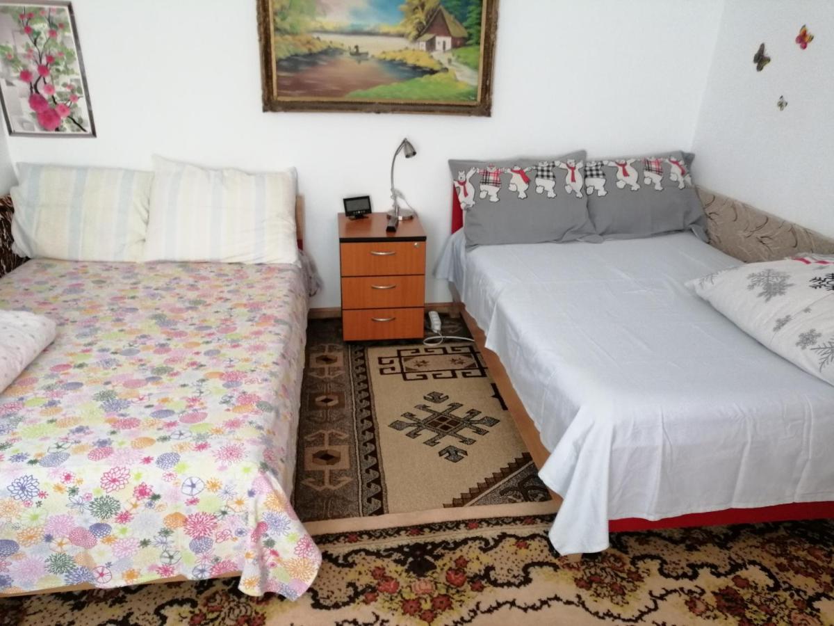 Rustic House Apartment Turnu Măgurele Екстериор снимка