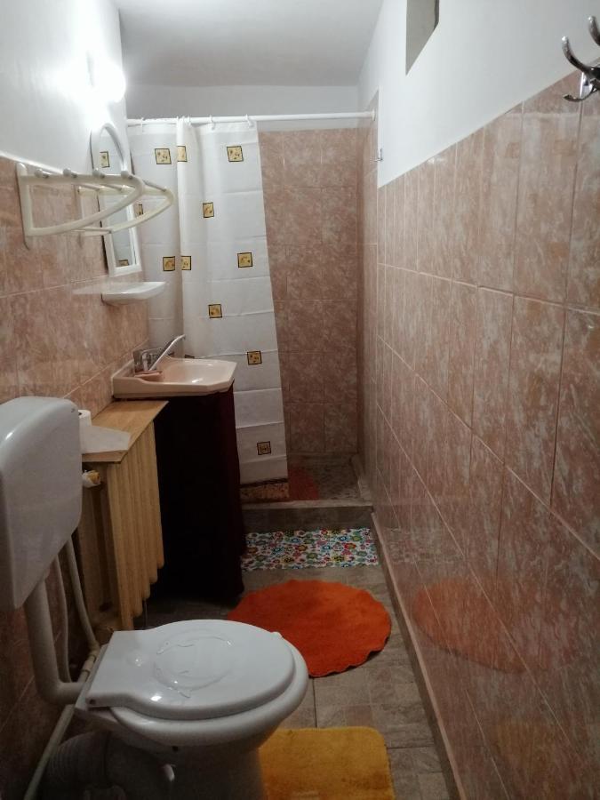 Rustic House Apartment Turnu Măgurele Екстериор снимка